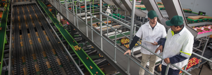 Licenciatura en Ingeniería de las Industrias Agrarias y Alimentarias